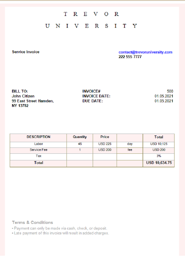 USA Trevor University invoice PSD template